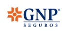 GNP Seguros Grupo Nacional Provincial